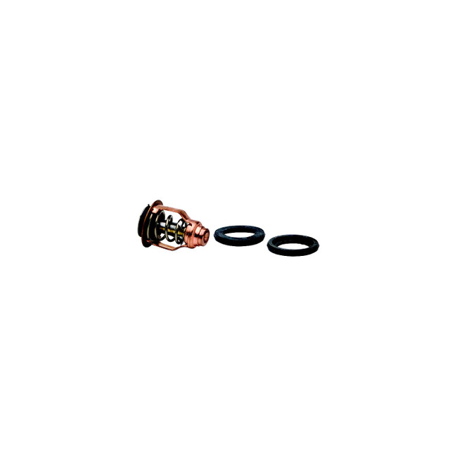 OEM Quicksilver/Mercury Thermostat 8M6013865