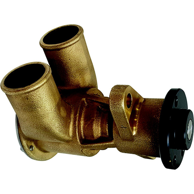 Johnson Pump 101361402 F6B-19 Flexible Impeller Pump