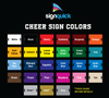 Letter Cheer Spirit Signs (Priced per Letter)