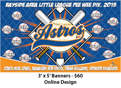 homemade little league baseball banner ideas