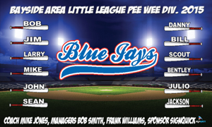 0004 Inner Page Banner Blue Jays – SLD