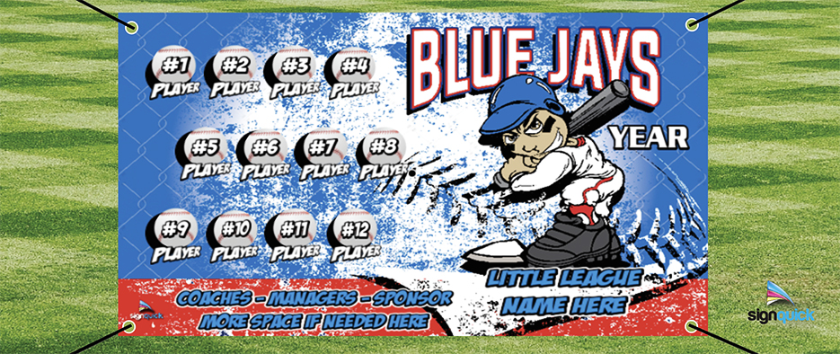 bluejays-littleleaguebanner-page.jpg