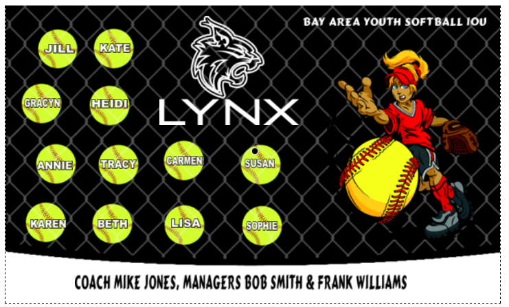 lynx-softball-banner.png