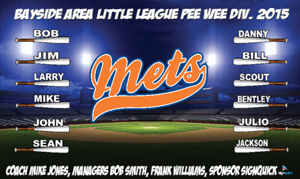 mets-feild-2.jpg