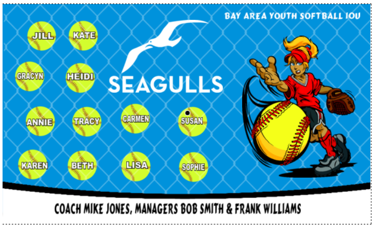 seagulls-softball-banner.png