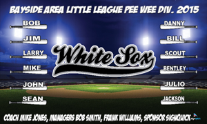 white-sox-feild-2.jpg