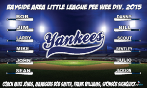 yankees-feild-3.jpg