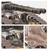 LEGIONES ASTARTES: FELLBLADE SUPER-HEAVY BATTLE TANK  LEGIONES ASTARTES: FELLBLADE SUPER-HEAVY BATTLE TANK