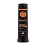 Haskell Encorpa Cabelo Engrossador Kit Shampoo Conditioner Mask Fluid Thick Hair Treatment