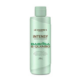 Lé Charmes Intensy Conditioner Aloe and Okra Extreme Hydration 300ml/10.14 fl. oz
