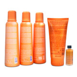 Kit Richée Professional Argan and Ojon Shampoo Conditioner Leave-in Complete Treatment