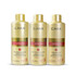Kit G.Hair Progressive Brush German That Treats Damaged Hair 3x1L/3x33.8fl.oz