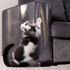Anti-Scratch Protective Tape Cat Corner Sofa and Furniture - 2 Units