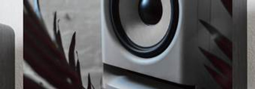 Subwoofers 