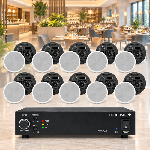 RXD240 + 10 NL6T Commercial Ceiling Speaker System