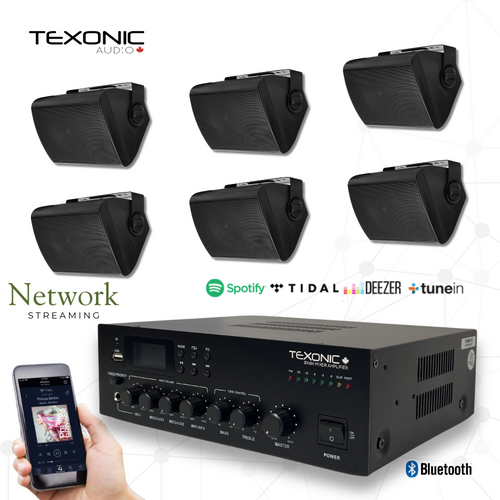 Wi-Fi Retail Audio System with wall Speakers
