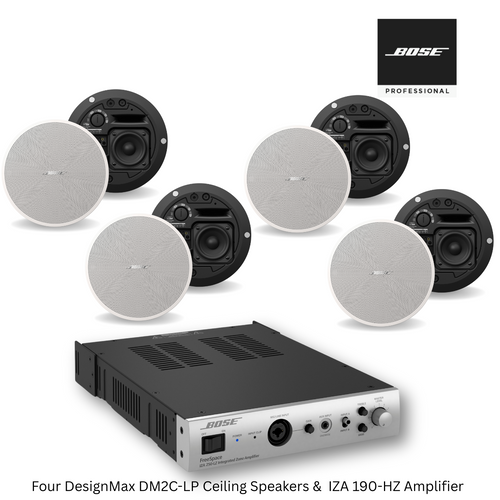 Enhance Spaces with Bose DM2C-LP & IZA 190-HZ