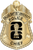 Dallas Baptist University Police Dept. - The Iconic - 3 Panel - Gold