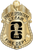 Cy-Fair Fire Dept. - The Iconic - 4 Panel Gold