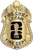 Cy-Fair Fire Dept. - The Iconic - 4 Panel Gold