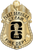 Cy-Fair Fire Dept. - The Iconic - 4 Panel Gold