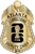 Atlanta Corrections Dept. -  The Iconic - 4 Panel Gold
