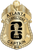 Atlanta Corrections Dept. -  The Iconic - 4 Panel Gold