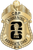 Department of Homeland Security - U.S. Customs and Border Protection - Border Patrol - The Iconic - 4 Panel Gold