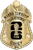 Morris Township Police Dept. -  The Iconic - 4 Panel Gold