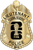 Federal Reserve Police Dept. - The Iconic - 4 Panel Gold