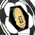 Protecting the World’s Game Premium Handcrafted Badge Display