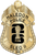 Haledon Police - The Iconic - 4 Panel Gold