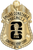 Dallas County Constable Pct. 3 - The Iconic - 4 Panel Gold