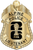 Alpine Police Dept. -  The Iconic - 4 Panel Gold
