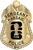 Passaic Police Dept. - The Iconic - 4 Panel Gold