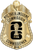 NYC Taxi & Limousine Commission - The Iconic - 4 Panel Gold
