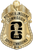 NYC Taxi & Limousine Commission - The Iconic - 4 Panel Gold