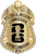 NYC Taxi & Limousine Commission - The Iconic - 4 Panel Gold