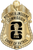 NYC Taxi & Limousine Commission - The Iconic - 4 Panel Gold