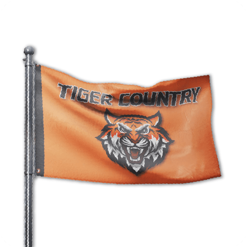 Wall Flags