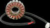 Ricks Electric Magneto Stator Ducati Monster 900 1999