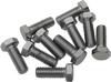 DRAG SPECIALTIES DS-190620 3/8"-16 X 1" CHR HEX HD