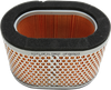 HIFLOFILTRO HFA6503 AIR FILTER TRI 955 02-06
