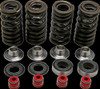 KIBBLEWHITE 30-30590 SPRING KIT CRF250R