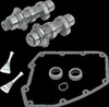 S&S CYCLE 330-0106 CAMS 583CHAIN 07-17 TC