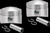 S&S CYCLE 106-5536 FORGED PISTON KIT 3-5/8" FOR SHOVELHEAD +.010"
