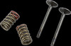 PROX 28.SES4335-1 EXHAUST VALVE/SPRING KIT