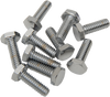 DRAG SPECIALTIES DS-190602 1/4"-20 X 3/4 CHR HEX HD
