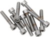 DRAG SPECIALTIES DS-190589S 10-24 X 3/4 SMTH SCKT HD