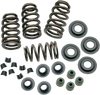 S&S CYCLE 106-5909 SPRINGS VLV .650" 05-17 TWIN CAM
